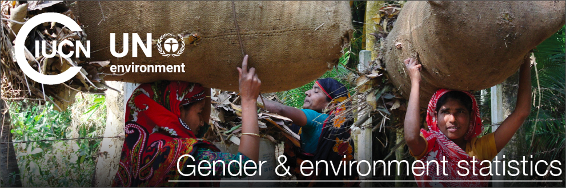 Expert consultation on gender-environment statistics