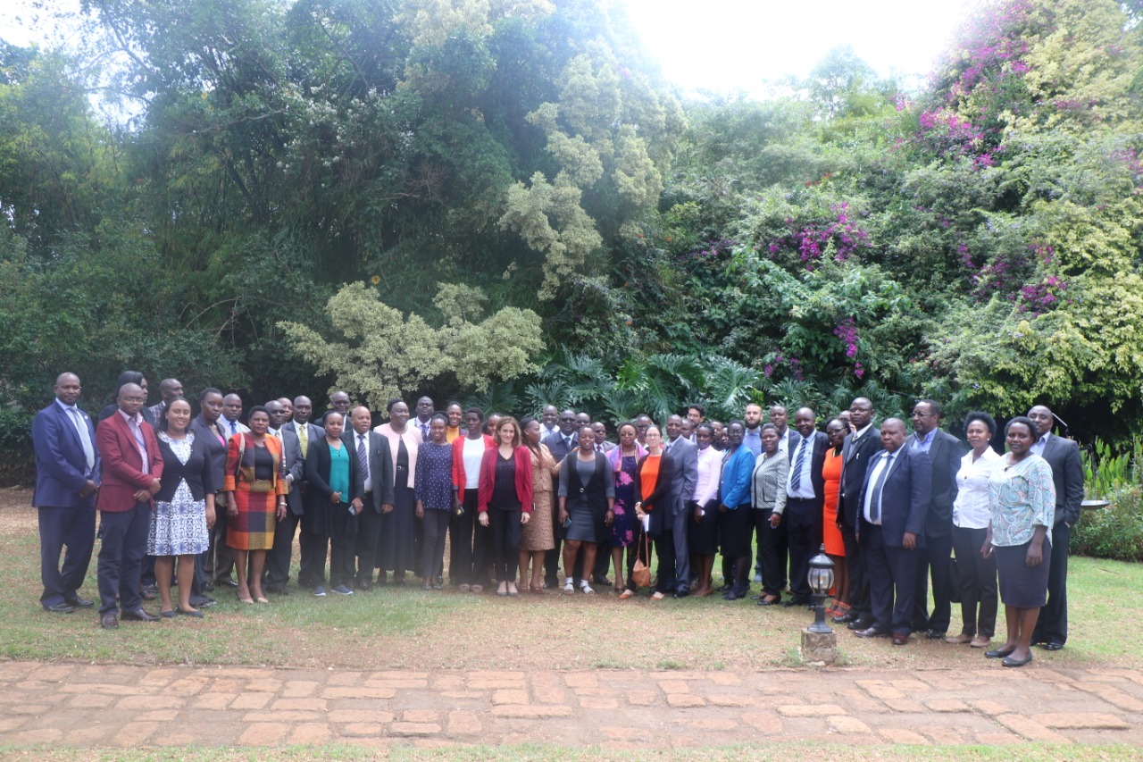  Consultation workshop on SDG Indicator 17.14.1: The case of Kenya