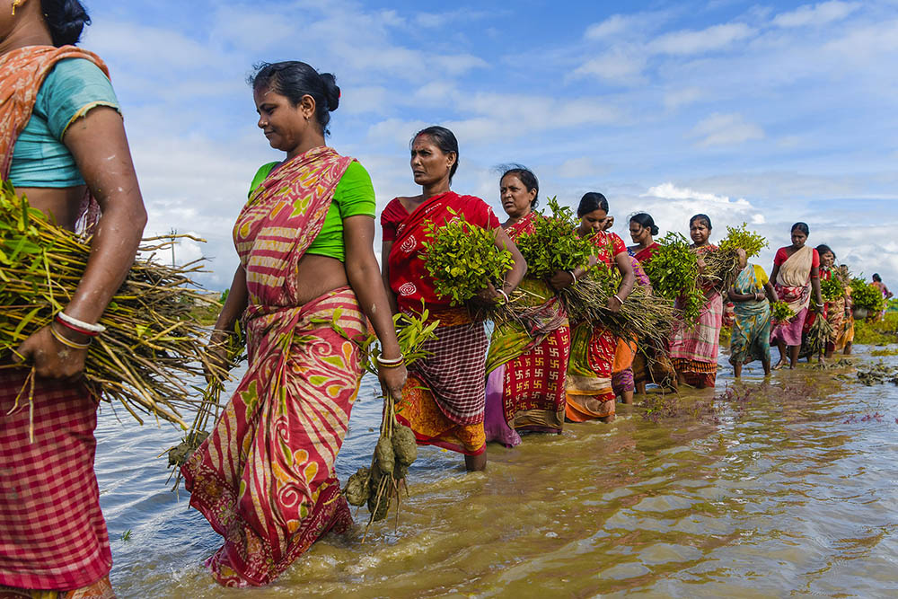 Women plant mangrove ©Climate Visual