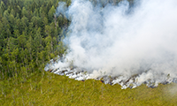 Satellite Images Record How Wildfires Have Destroyed One Million Hectares of Forests in Western Russia - UNEP Global Environmental Alert Service (GEAS) September 2010