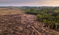 Amazonian Deforestation Slowing but May Already be at a Tipping Point Mato Grosso, Brazil - UNEP Global Environmental Alert Service (GEAS) 2011