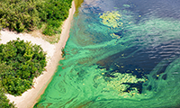 Human Induced Harmful Algal Blooms - Environment Alert Bulletin 12