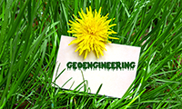 Geoengineering to Combat Global Warming