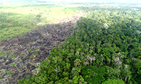 Drought, Fire and Deforestation in the Amazon: Feedbacks, Uncertainty and the Precautionary Approach