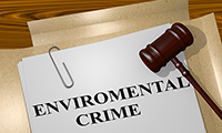 Transnational Environmental Crime - a common crime in need of better enforcement