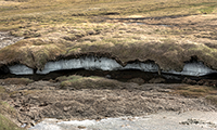 Policy implications of warming permafrost