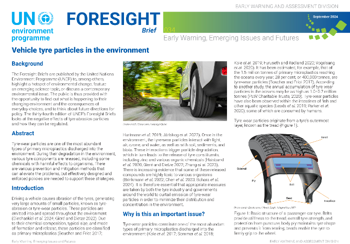 Vehicle tyre particles in the environment