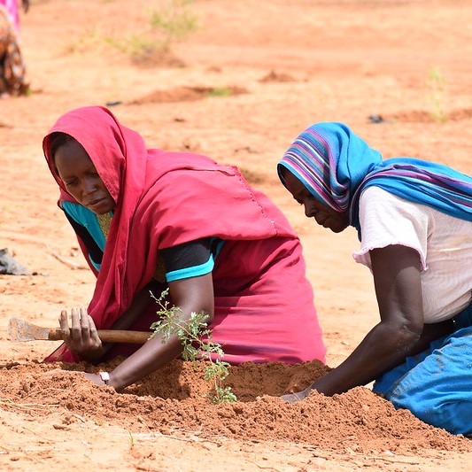 Strata: UNEP's Earth Stress Monitor, Blog